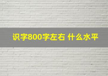 识字800字左右 什么水平